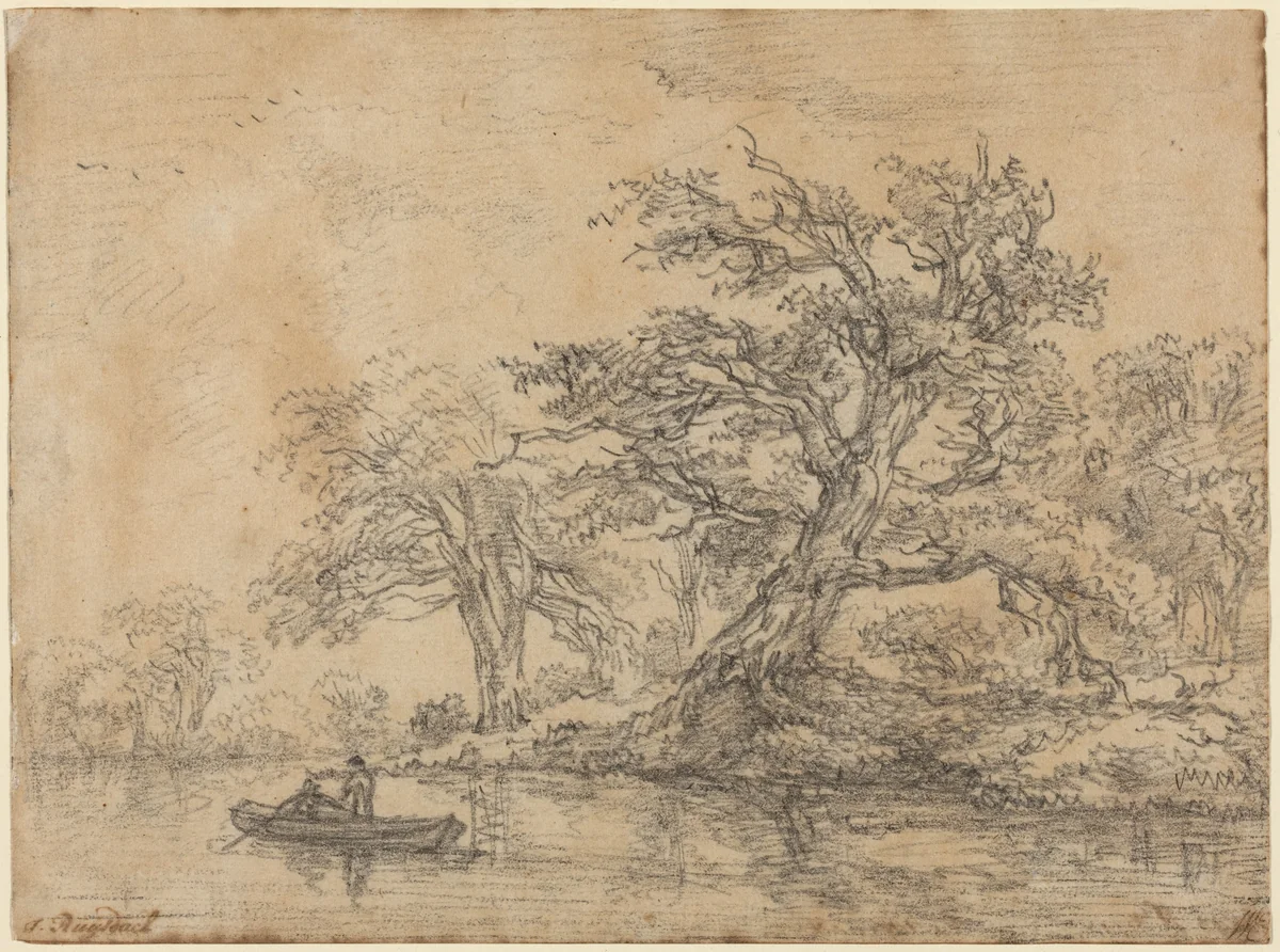 Old Trees along a Bank by Jacob van Ruisdael, drawing, 1645-1649