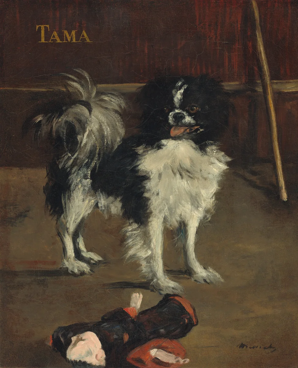 Tama, the Japanese Dog by Edouard Manet, painting, 1875