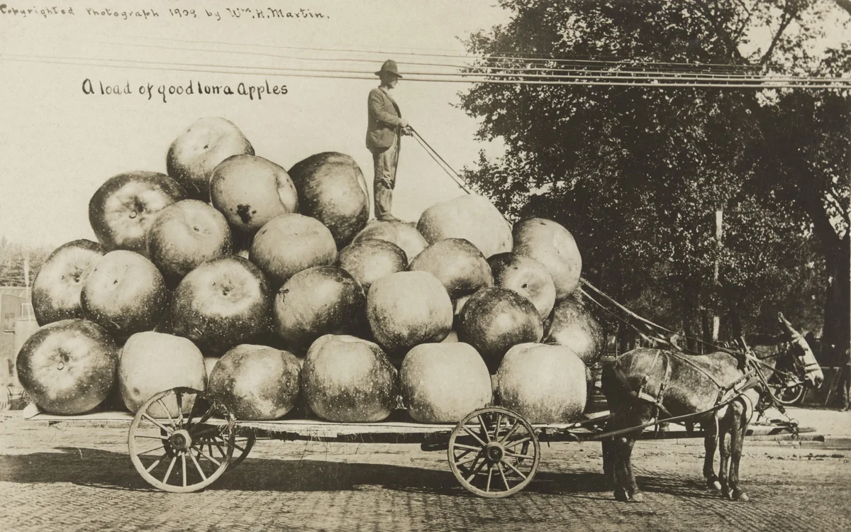 A Load of Good Iowa Apples by William H. Martin, photograph, 1909