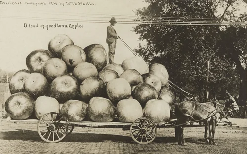 A Load of Good Iowa Apples by William H. Martin, photograph, 1909