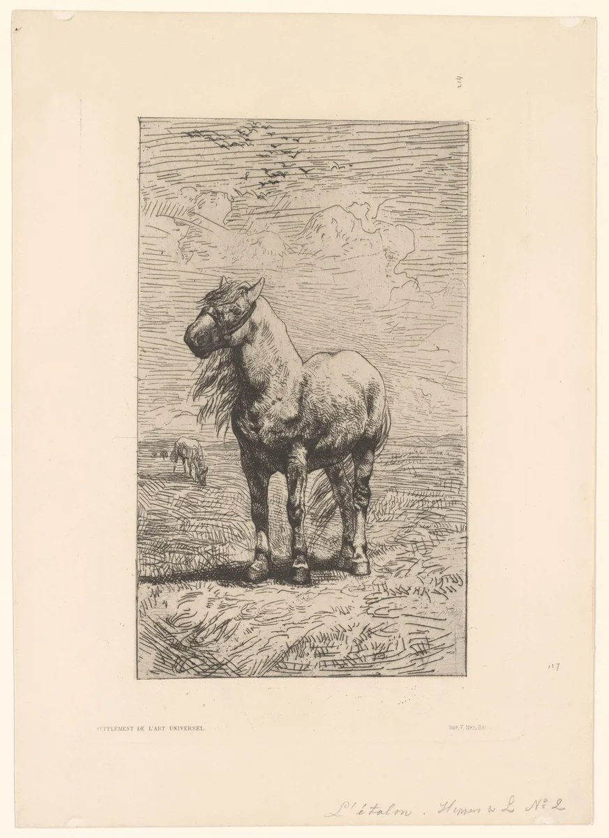 Paard met halster in een landschap by Alfred Verwee, print, 1870