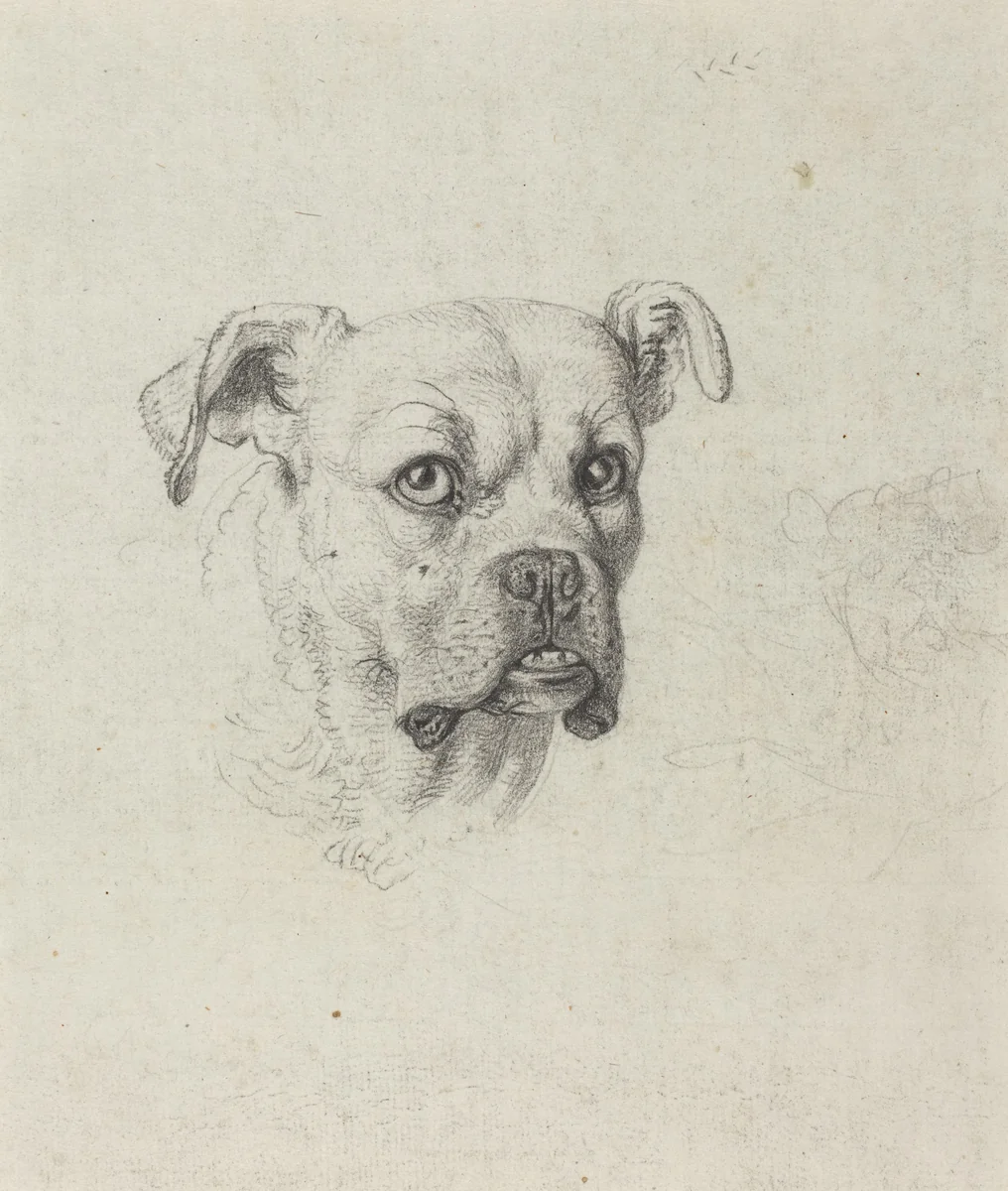 A Boxer by Johann Heinrich Wilhelm Tischbein, drawing, 1795