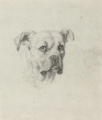 A Boxer by Johann Heinrich Wilhelm Tischbein, drawing, 1795