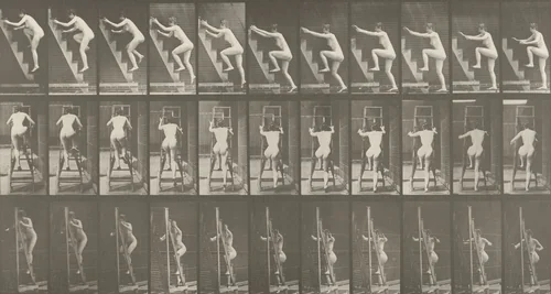 Woman Ascending a Stepladder Two Steps at a Time: Plate 110 from Animal Locomotion (1887) by Eadweard Muybridge, photograph, 1884