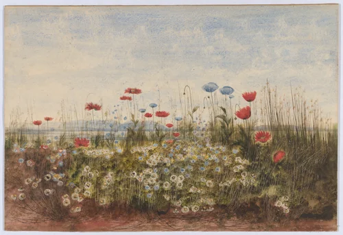 Bank of wildflowers by Andrew Nicholl, drawing, 1830-1839