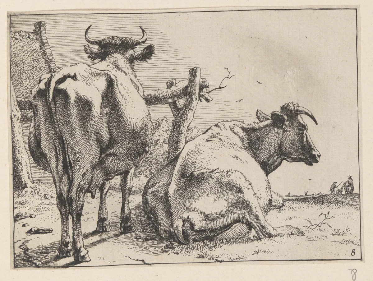 Two Cows Seen from Behind, from Various Oxen and Cows by Paulus Potter, print, 1650