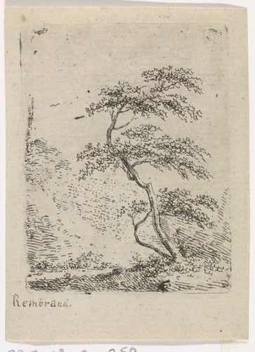 Boom by Gerard van Nijmegen, print, 1745-1808