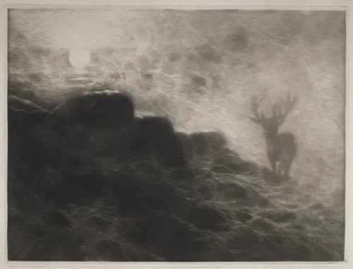 An Early Riser by Francis Seymour-Haden, print, 1897