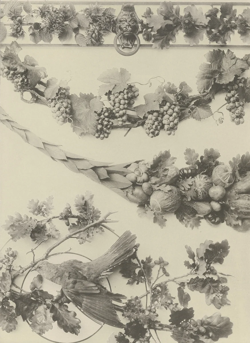 Page from Festons und Dekorative Gruppen by Unidentified Photographer, photograph, 1893