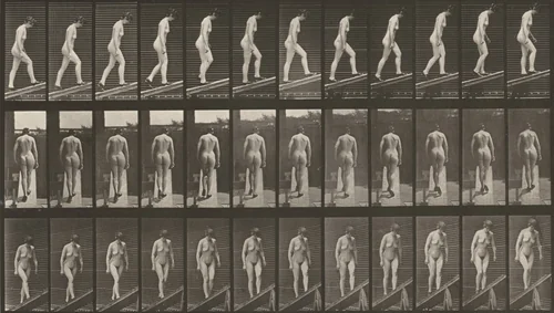 Plate Number 85. Ascending an incline by Eadweard Muybridge, photograph, 1887