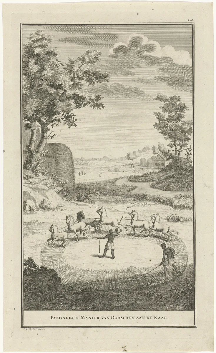 Khoikhoi aan het dorsen by Jan Caspar Philips, print, 1727