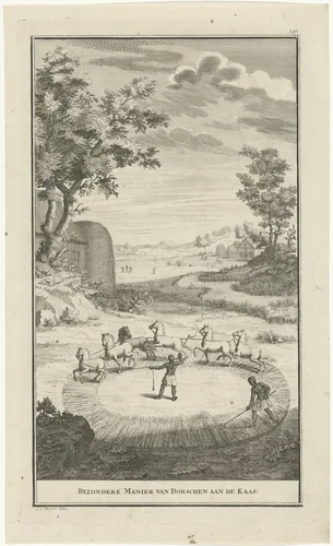 Khoikhoi aan het dorsen by Jan Caspar Philips, print, 1727
