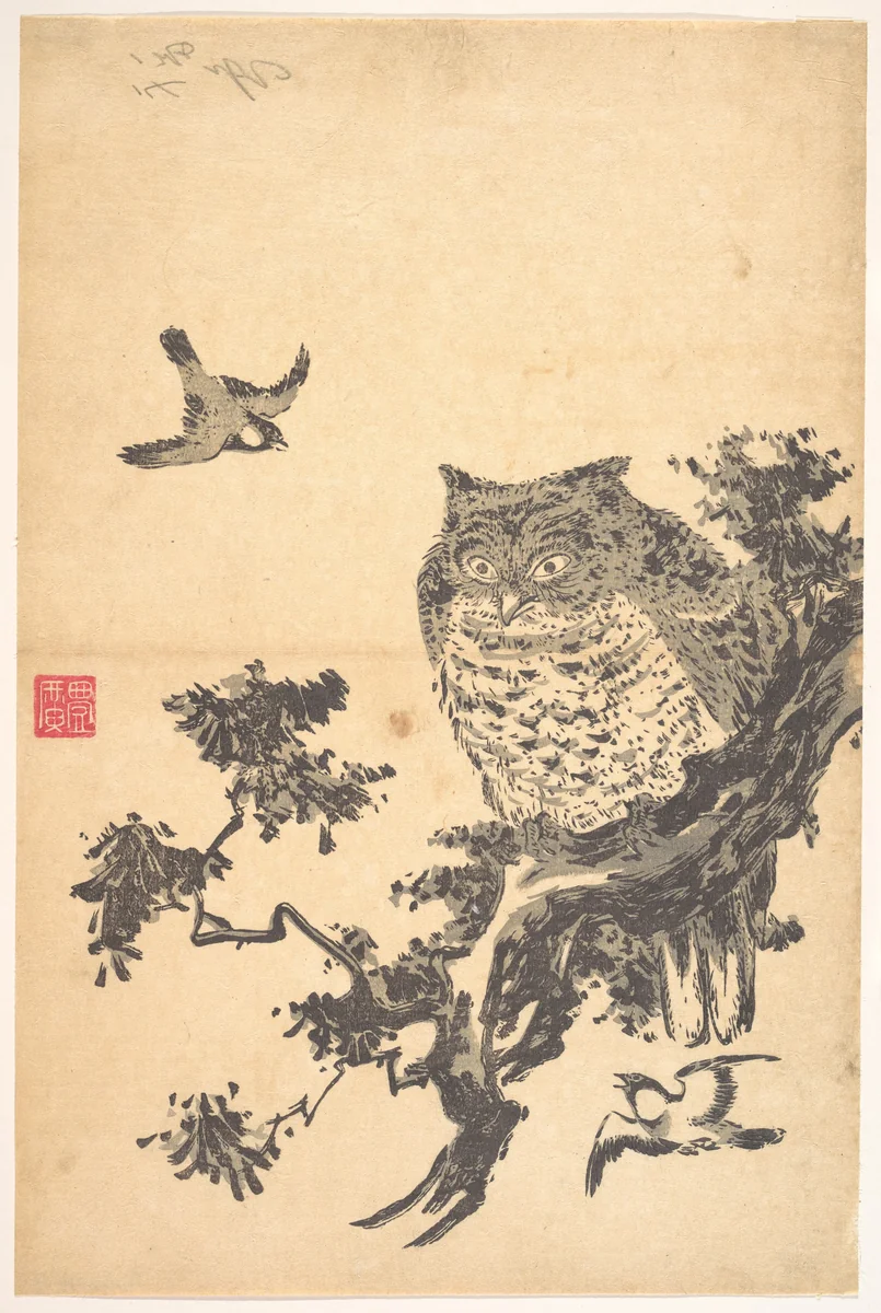 Owl and Two Swallows by Utagawa Toyohiro (歌川豊広), print, 1763-1828