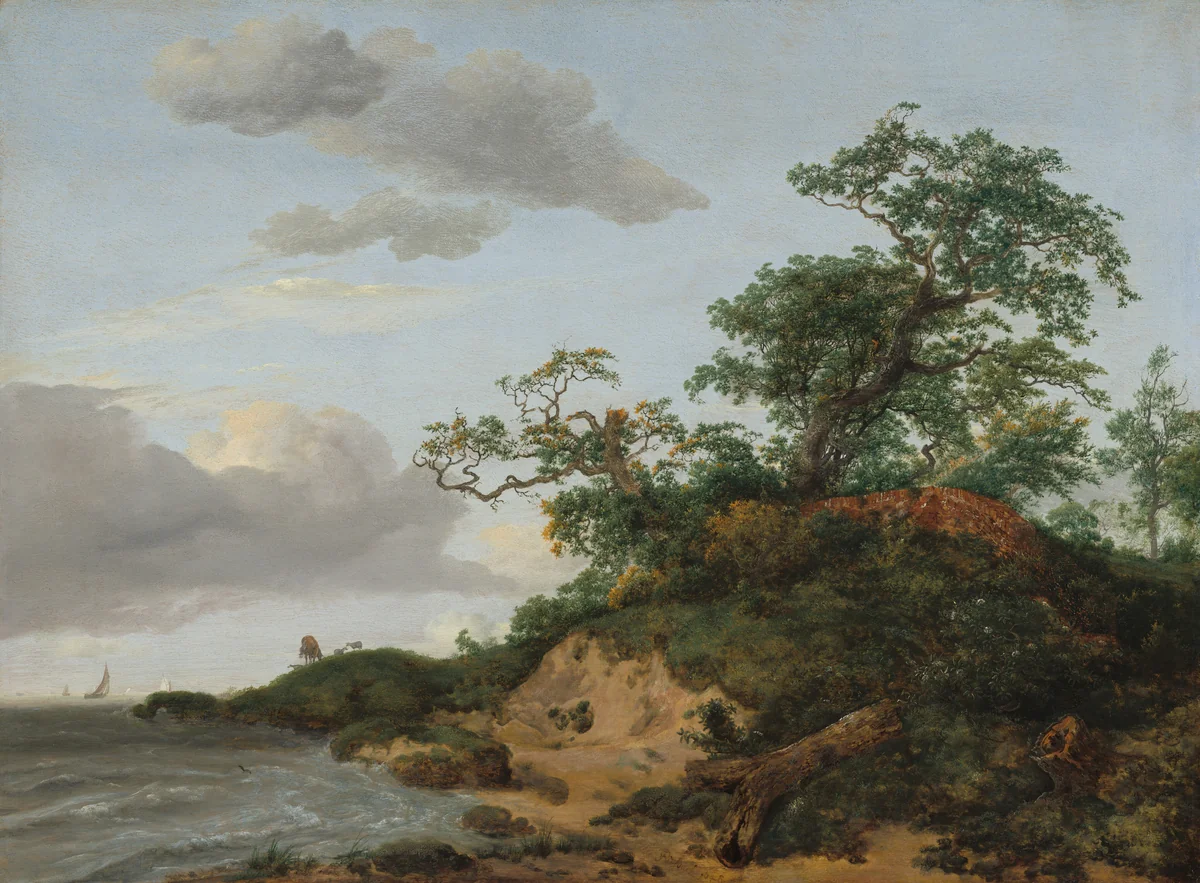 Dunes by the Sea by Jacob van Ruisdael, painting, 1648