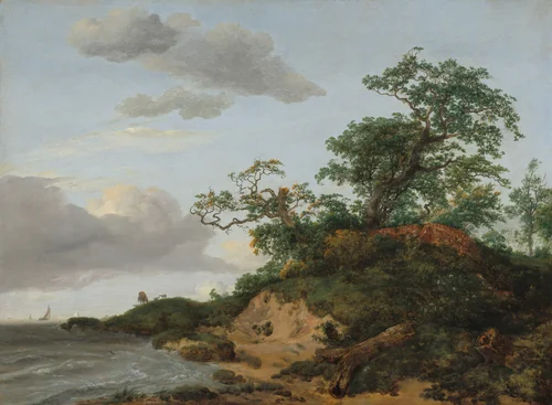 Dunes by the Sea by Jacob van Ruisdael, painting, 1648
