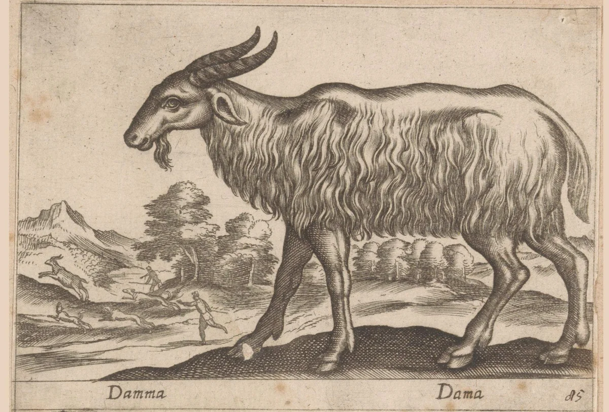 Bok by Antonio Tempesta, print, 1565-1630