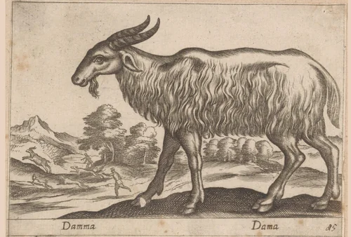 Bok by Antonio Tempesta, print, 1565-1630