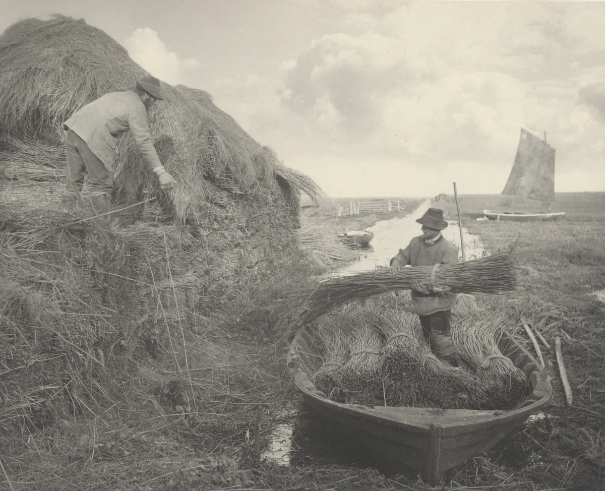 Ricking the Reed by Peter Henry Emerson, photograph, 1886