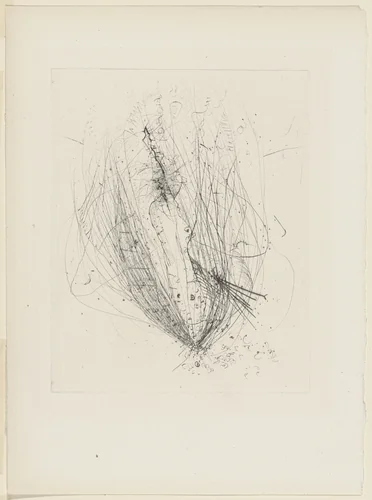 Nude/Blossom from Nourritures by Wols, illustrated book, 1949