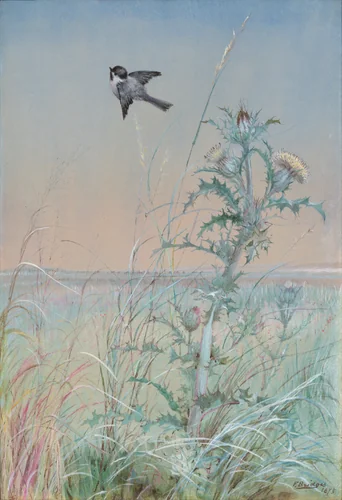 Chickadee and Thistle by Fidelia Bridges, artwork, 1875