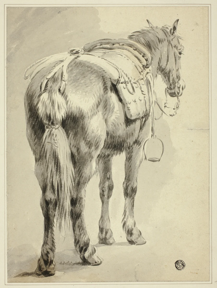 Saddle Horse by Pieter van Bloemen
Paulus Potter, drawing, 1677-1720