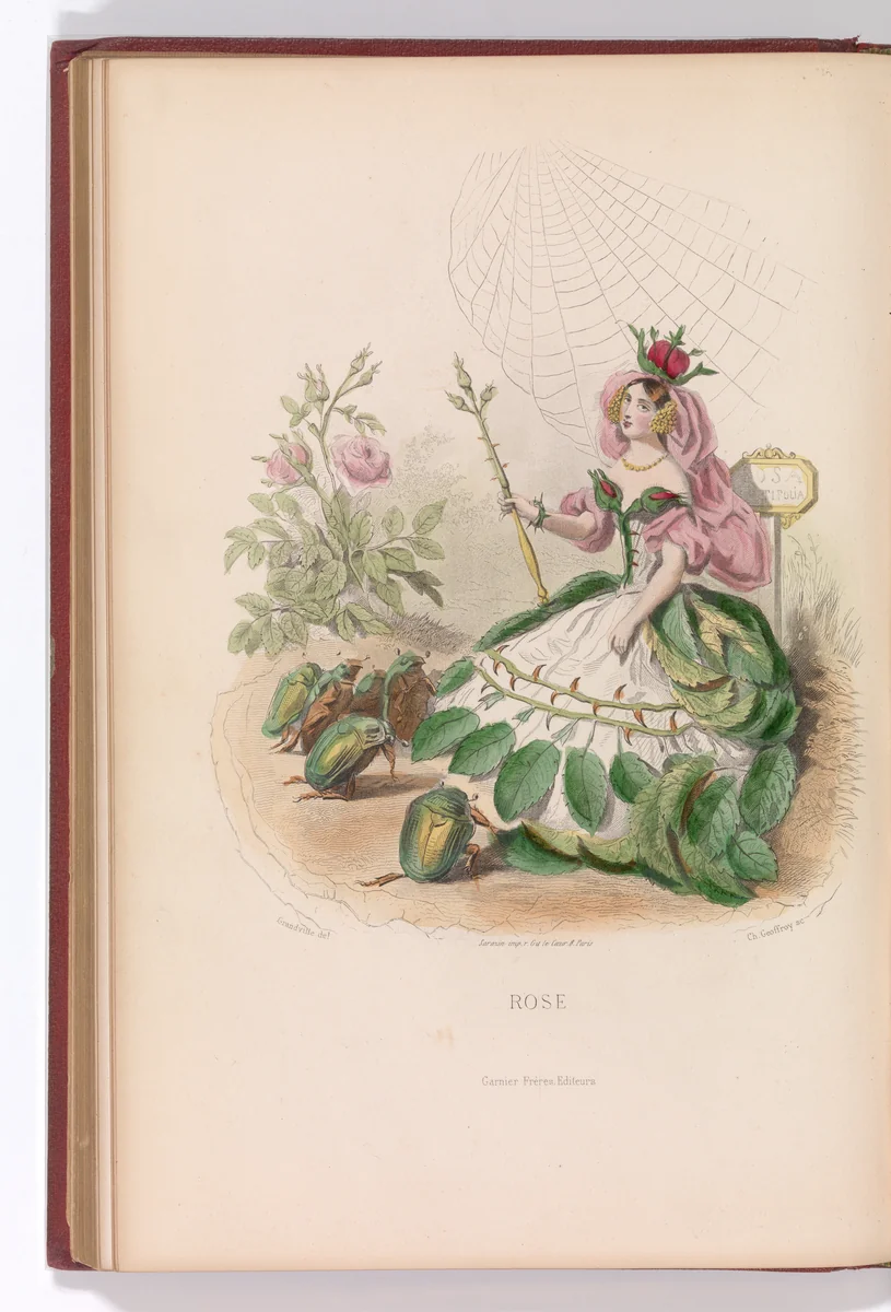 Les Fleurs Animées by Taxile Delord, book, 1867