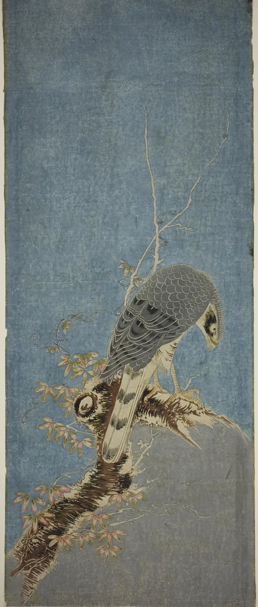 Falcon Perched on a Tree by Isoda Koryusai, print, 1780-1790