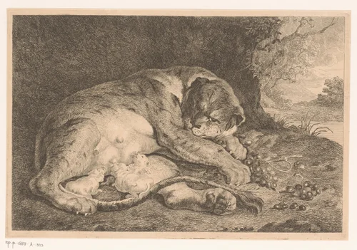 Tijgerin zoogt haar jongen by Jean Baptiste de Roy, print, 1769-1839