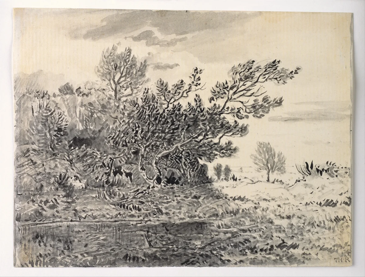 Landscape with a Pond by Théodore Rousseau, drawing, 1845-1855