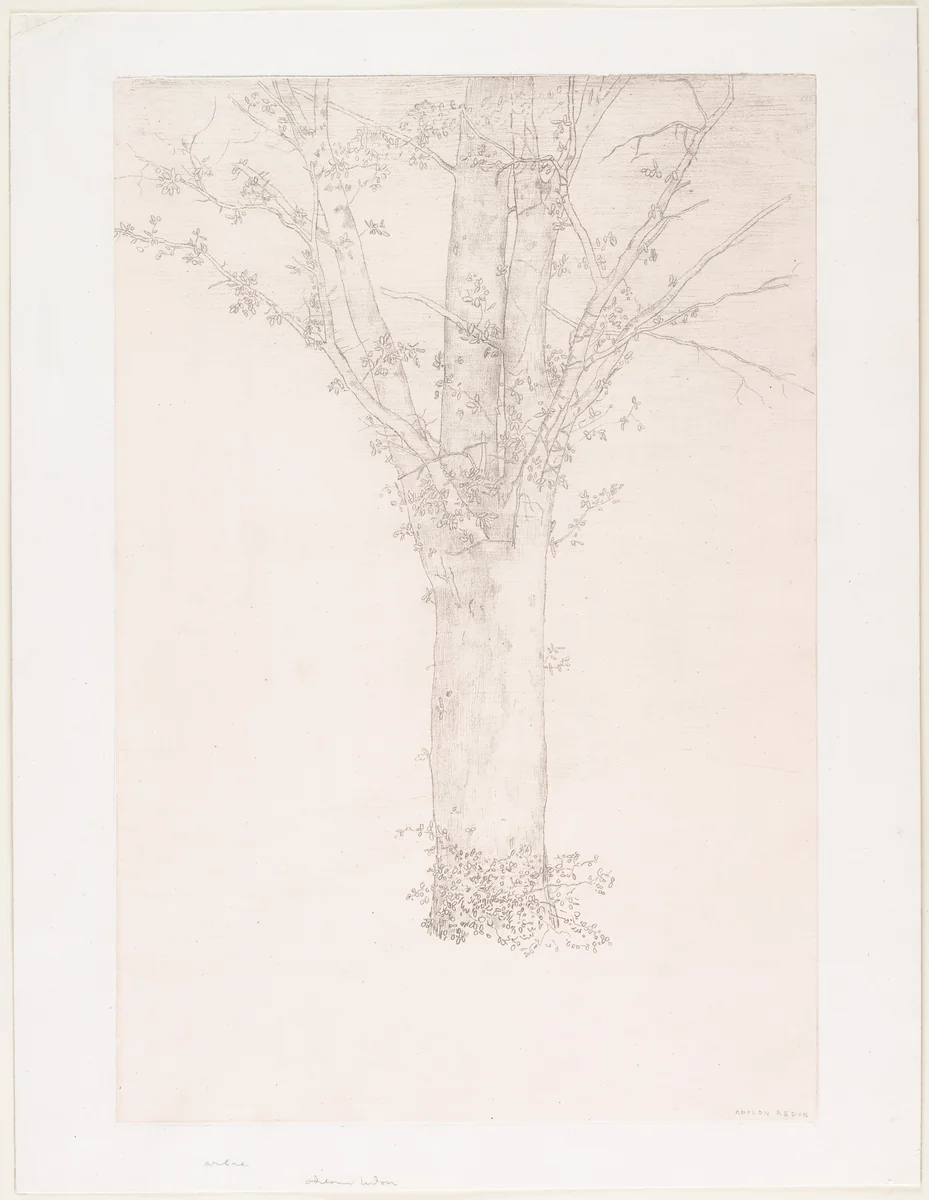 Tree (Arbre) by Odilon Redon, print, 1892