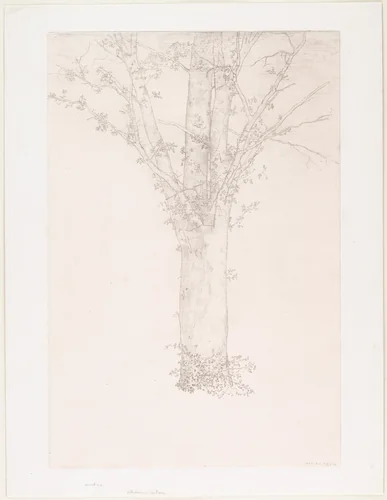 Tree (Arbre) by Odilon Redon, print, 1892