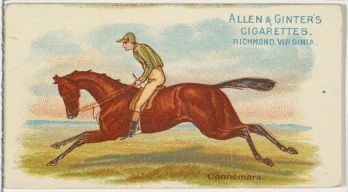 Connemara, from The World's Racers series (N32) for Allen & Ginter Cigarettes by Allen & Ginter, print, 1888