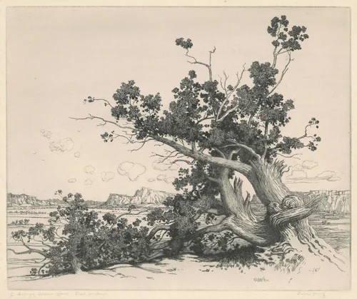 Desert Cedars, New Mexico by George Elbert Burr, print, 1920