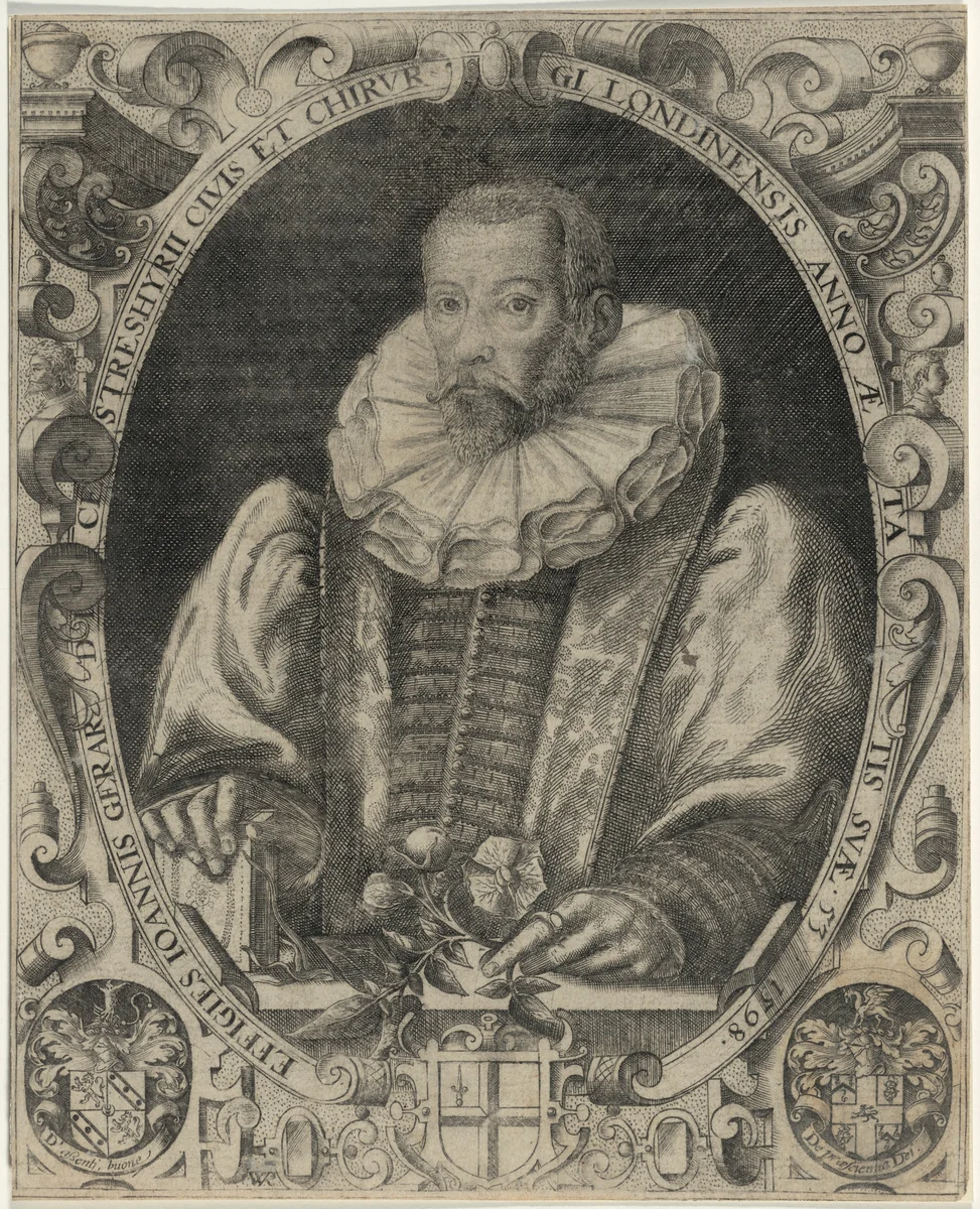 John Gerard, Herbalist by William Rogers, print, 1597