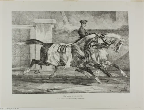 Horses Exercising, plate 6 from Various Subjects Drawn from Life and on Stone (The English Suite) by Jean Louis André Théodore Géricault, print, 1821