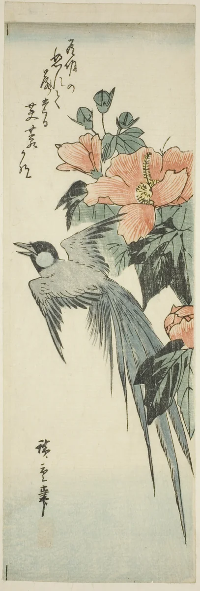 Long-tailed bird and hibiscus by Utagawa Hiroshige (歌川広重), print, 1830-1849
