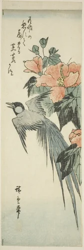 Long-tailed bird and hibiscus by Utagawa Hiroshige (歌川広重), print, 1830-1849