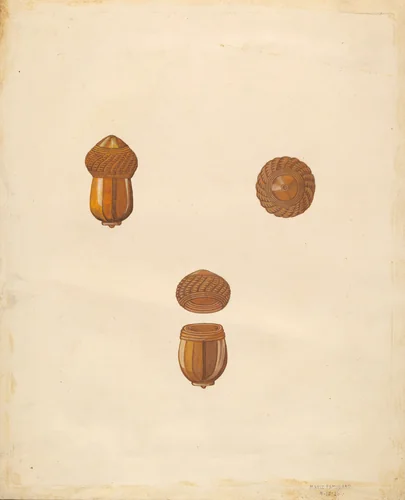 Snuff Box by Marie Famularo, index of american design, 1936