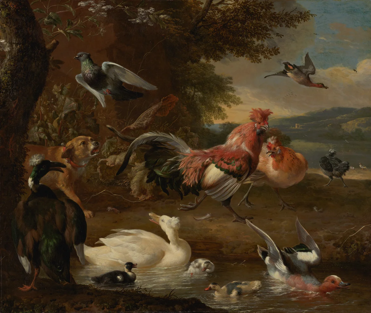 Chickens and Ducks by Melchior d' Hondecoeter, painting, 1680