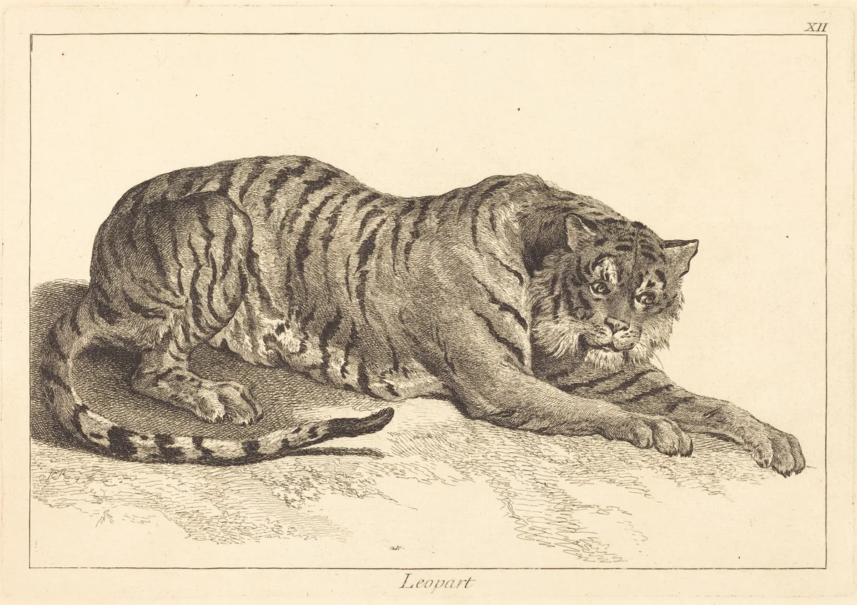 Leopart (Leopard or Tiger) by Jacques-Philippe Le Bas
Jean Eric Rehn
Jean-Baptiste Oudry, print, 1707-1783