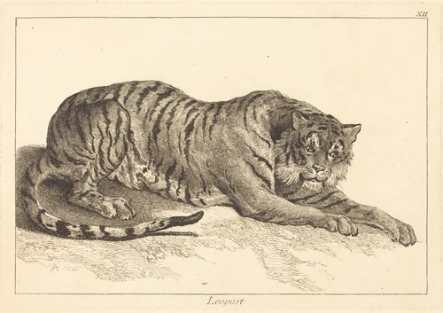 Leopart (Leopard or Tiger) by Jacques-Philippe Le Bas
Jean Eric Rehn
Jean-Baptiste Oudry, print, 1707-1783