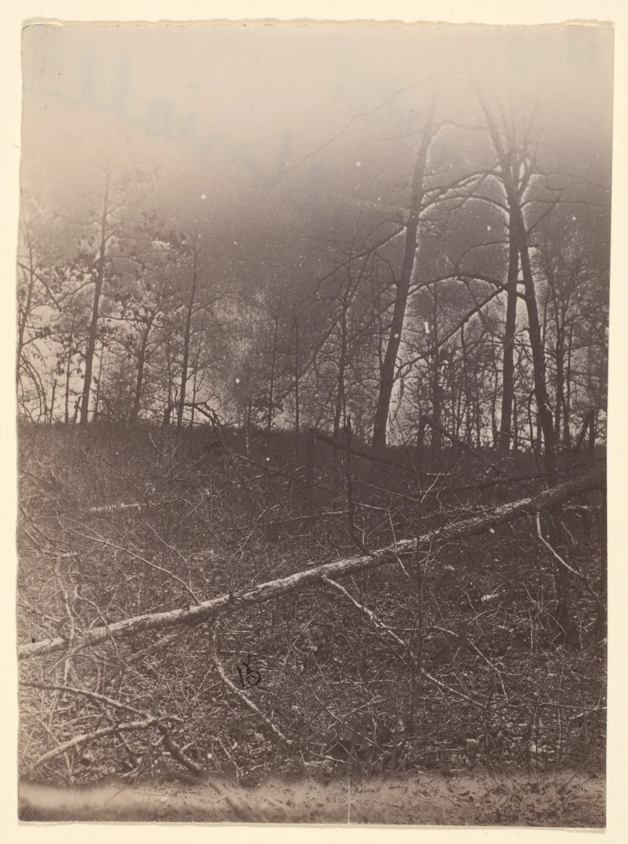 [The Wilderness Battlefield] by G. O. Brown, photograph, 1866
