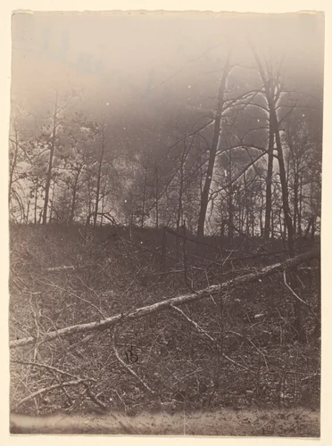[The Wilderness Battlefield] by G. O. Brown, photograph, 1866