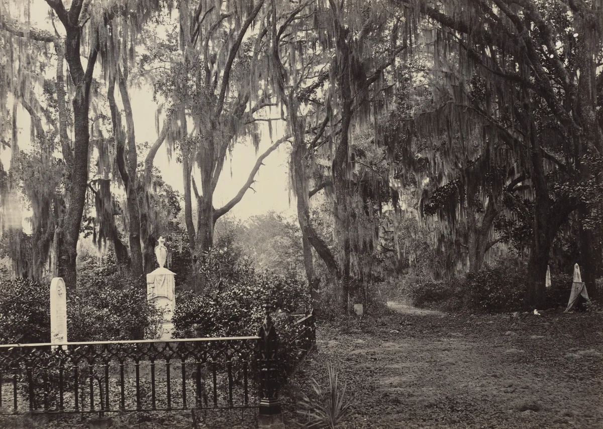 Buen Ventura, Savannah from the album Photographic Views of Sherman's Campaign by George N. Barnard, photograph, 1864