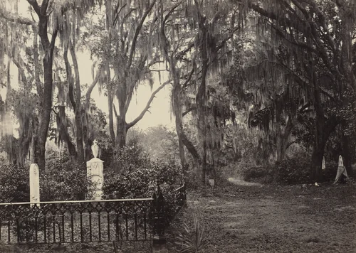 Buen Ventura, Savannah from the album Photographic Views of Sherman's Campaign by George N. Barnard, photograph, 1864