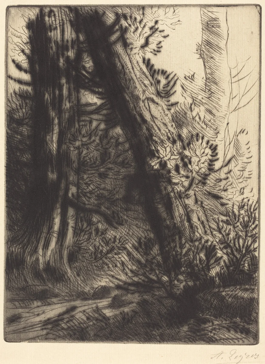 Edge of a Brook (Bord de ruisseau) by Alphonse Legros, print, 1837-1911