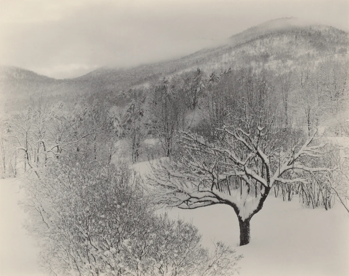 Lake George by Alfred Stieglitz, photograph, 1923