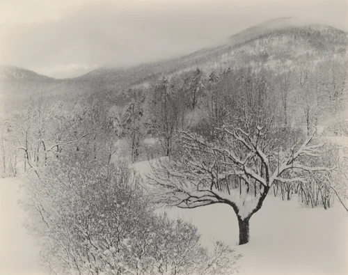 Lake George by Alfred Stieglitz, photograph, 1923