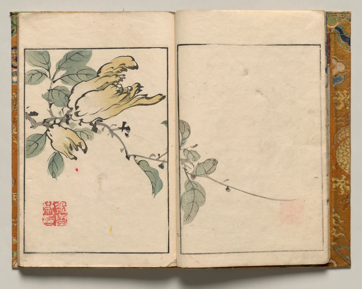 Buddha's Hand, Design Two from Shazanrō Picture Book by Tani Bunchō (谷文晁), book, 1816