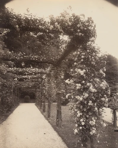 Bagatelle by Eugène Atget, photograph, 1923